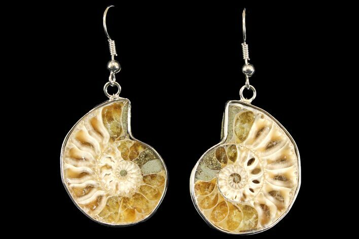 Fossil Ammonite Earrings - Million Years Old #142856